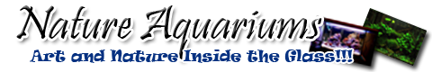 Nature Aquariums