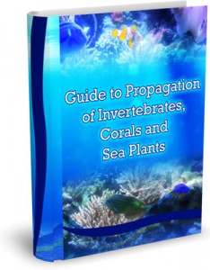 Invertibrates, Coral and Saltwater Plant Propagation Guide